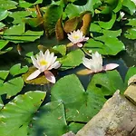 Raabsteine 아파트