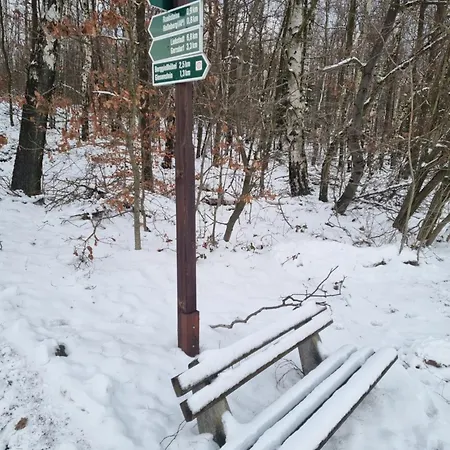 Raabsteine 公寓 Bad Gottleuba