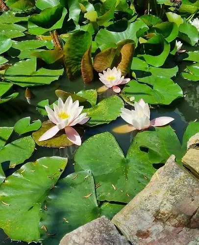 Raabsteine Апартаменты