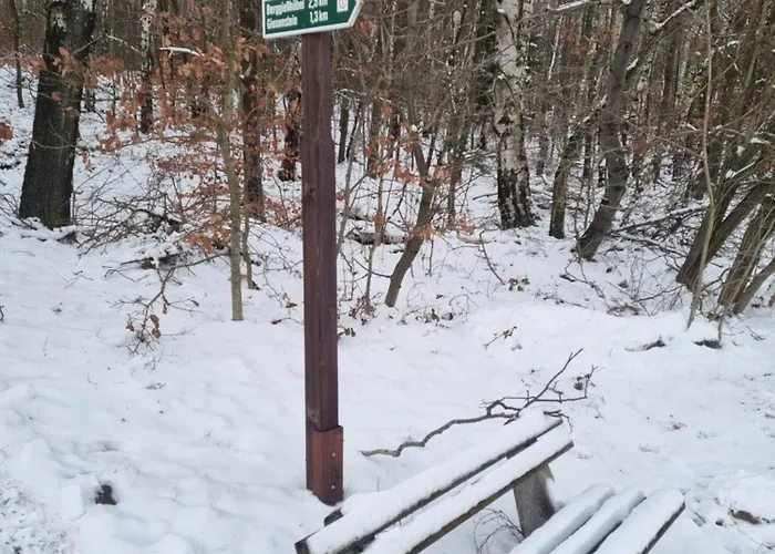 Raabsteine Апартаменты Bad Gottleuba-Berggiesshuebel